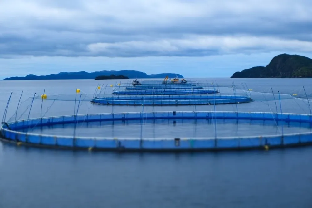 Grieg Seafood Newfoundland salmon farm