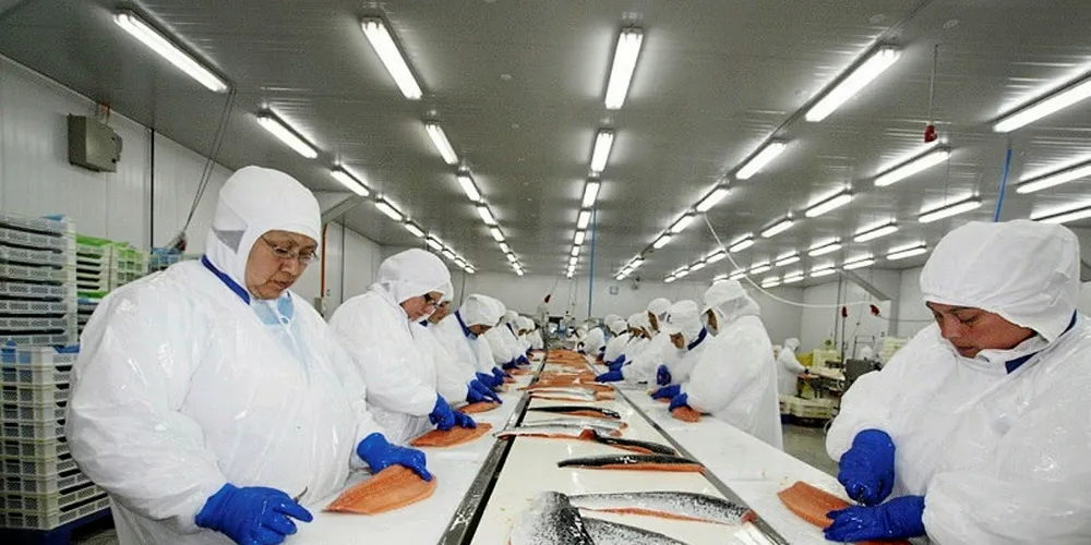 At least six bidders are vying to snap up Friosur's salmon arm in Chile.