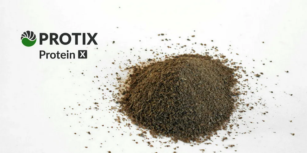 Insect-based feed firm nets $50 million Rabobank, Aqua-Spark funding