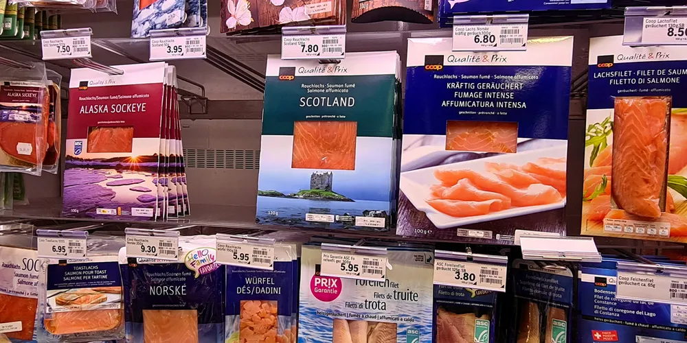 Salmon prices are all over the place heading into next year.