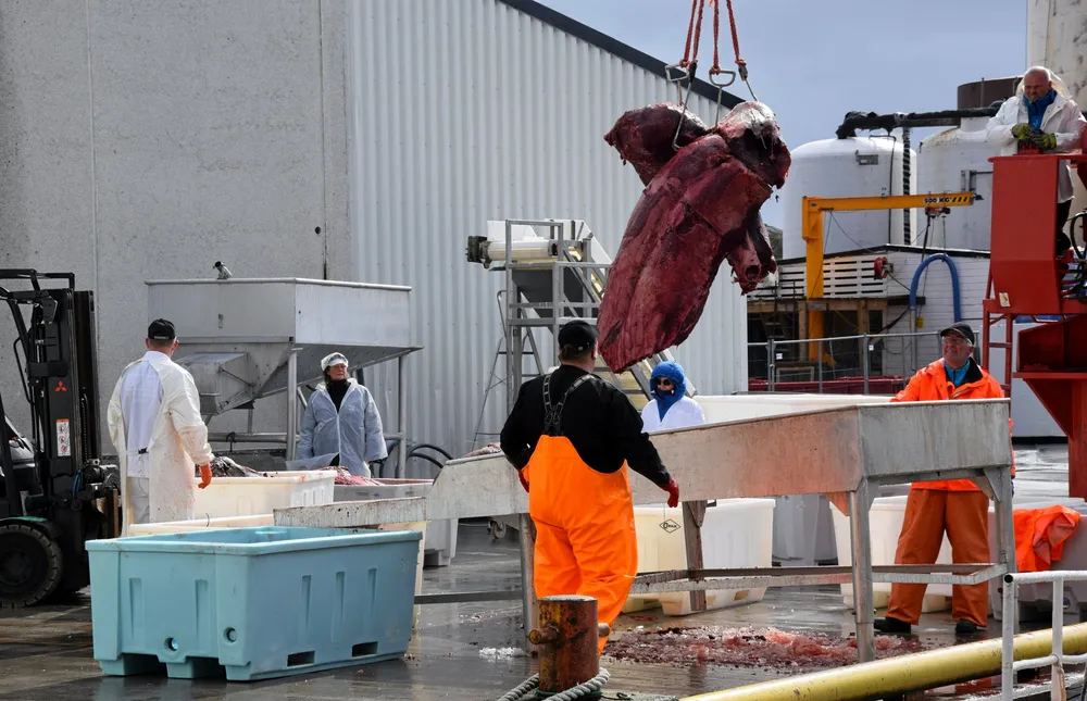 Uten satsing og politisk mot vil det verken bli nye markeder, nye bruksområder eller spennende produkter, skriver Mariann Frantsen. Her fra levering i Lofoten for noen år siden.