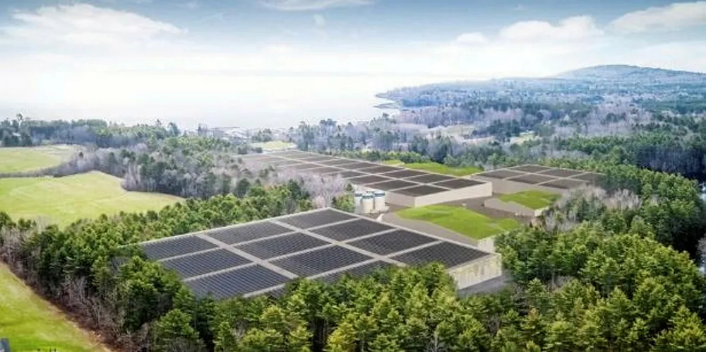 An illustration of Nordic Aquafarms' Belfast RAS o facility overlooking Penobscot Bay.