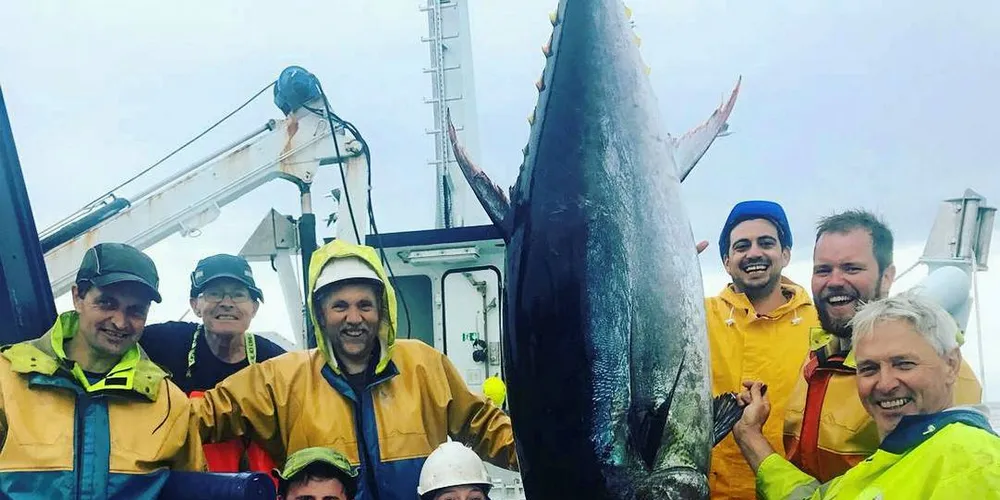 . Bluefin.Foto: Privat