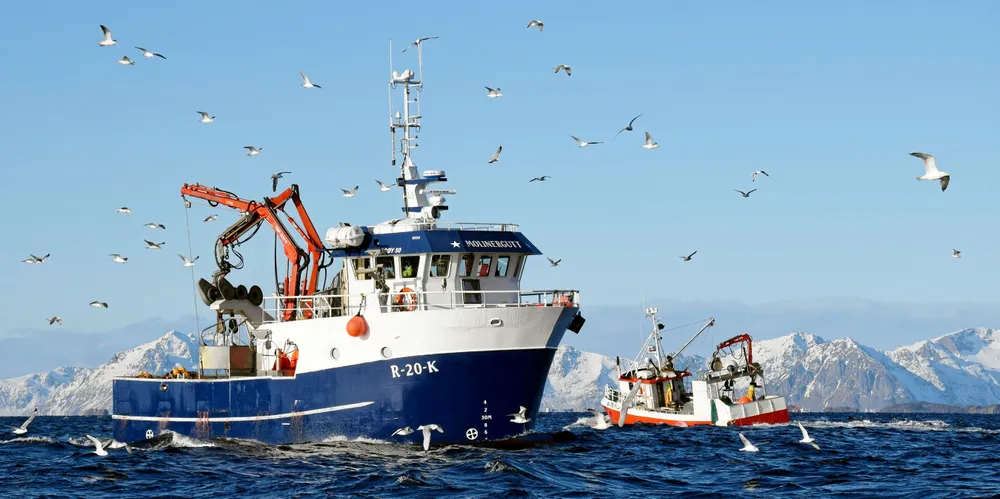 Snurrevadbåten «Molinergutt» på Lofothavet.