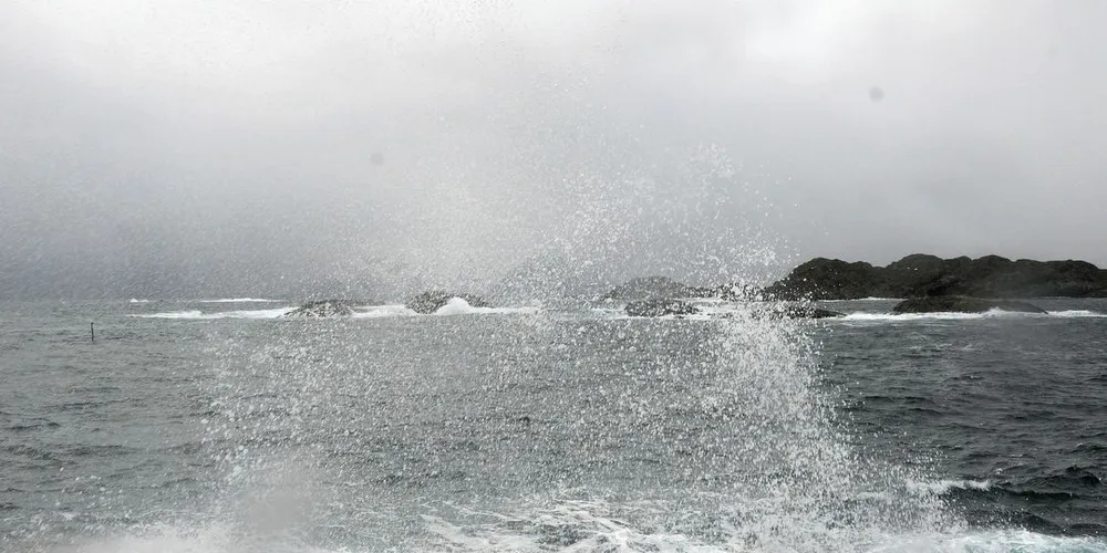 Det har ikke vært optimale forhold for hvalfangerne så langt denne sesongen.Ill.foto: Kjersti Kvile