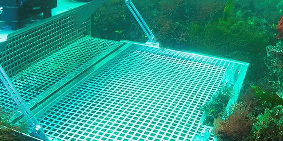 To kameraer gir «stereovideo». Da er det mulig å måle lengden på fisk i et dataprogram.