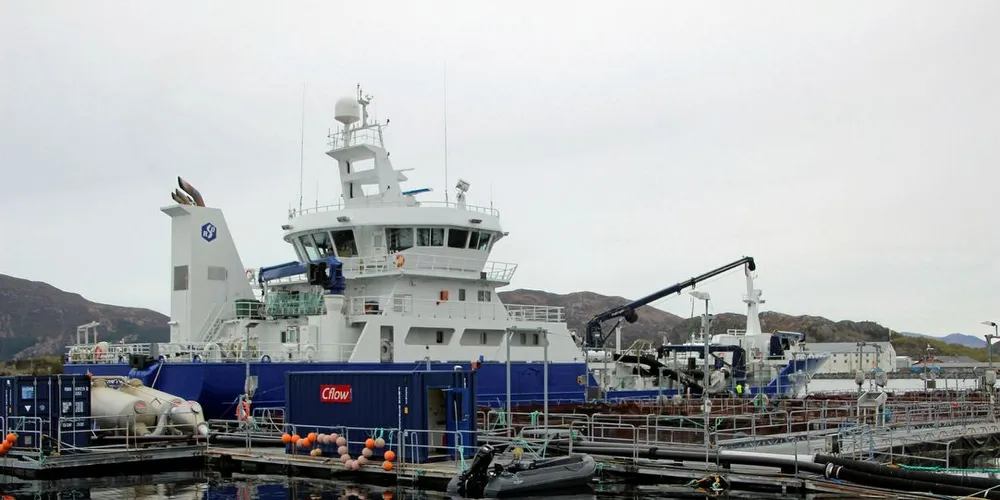 UABEARBEIDD: Laks som går utearbeid ut av landet vil få eksportavgift. Tom Erlend Mikalsen, arbeidsleder i Nordlaks. Brønnbåten «Ro Fjord» leverer laks til ventemerdene ved Marine Harvests slakteri på Eggesbønes i Fosnavåg.Foto: Anders Furuset
