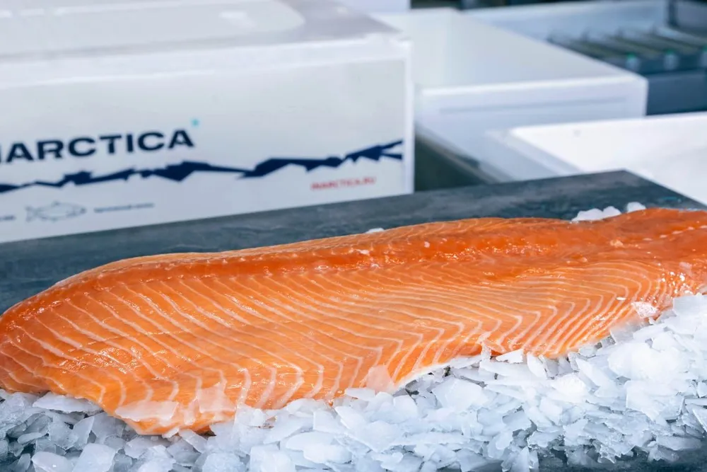 Estimates from the country's top consulting firm, Strategy Partners, suggest that by 2034, annual consumption of farmed Atlantic salmon and trout could increase by 44 percent to reach 283,000 metric tons.