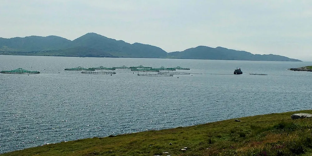 Mowi's Irish farms.