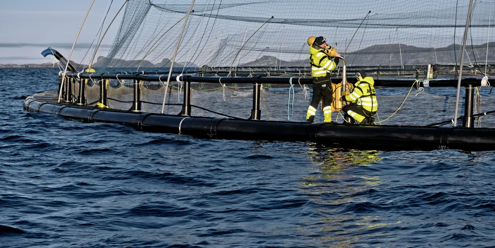 Norsk havbruksnæring er allerede en av de mest klimavennlige matprodusentene, påpeker gjesteskribentene fra NCE Aquatech Cluster.