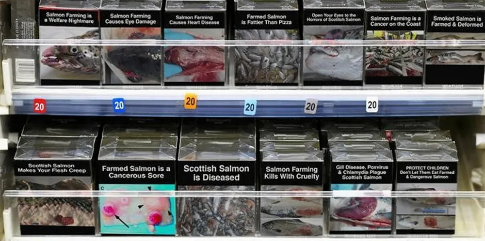 Scottish Salmon Watch campaigns have opposed salmon farming with aggressive and controversial topics. Now salmon farmer Mowi is taking the brains behind the organization to court.