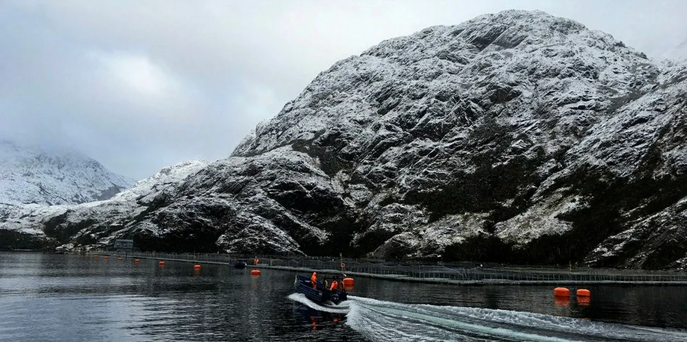 Nova Austral's salmon farming operations in the Antarctic waters of Porvenir, Tierra del Fuego, Chile.