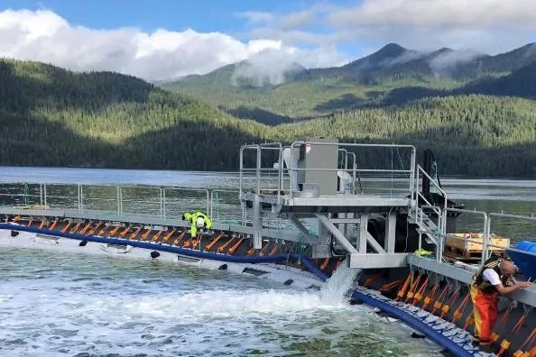 Cermaq has been trialing alternative salmon farming technology in British Columbia for several years.