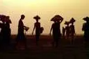 On the march: oil operators start drilling despite environmental concerns