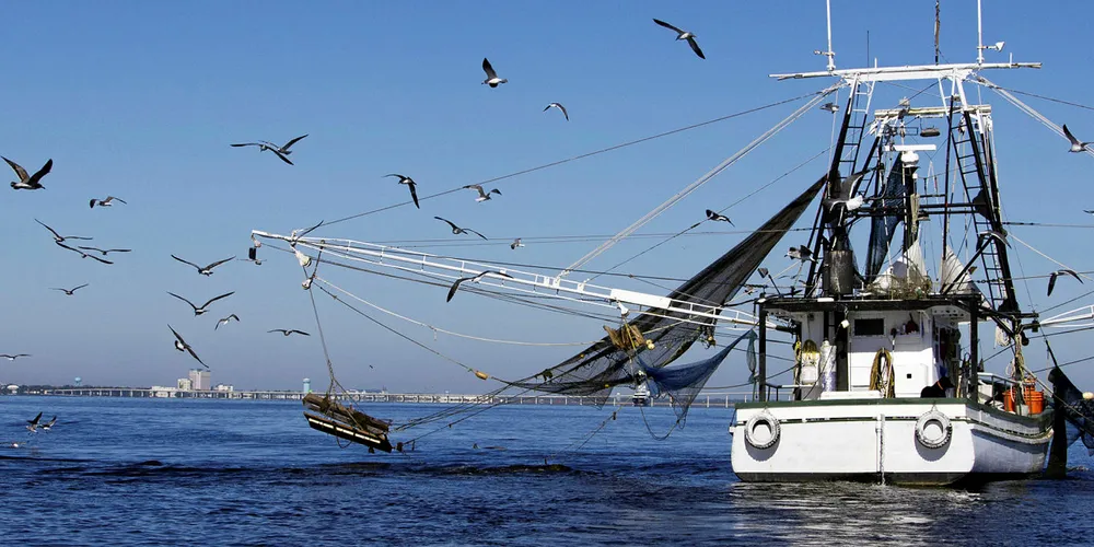 The USDA announced its first-ever purchase of Gulf wild shrimp in April.