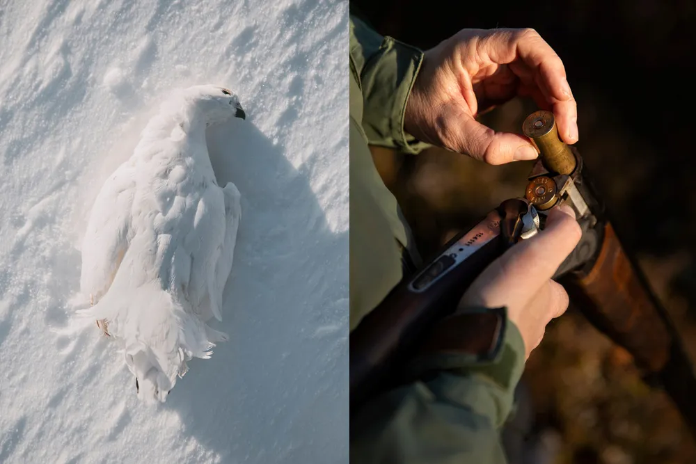 På ti år har det skjedd en markant endring i hva folk er villig til å bruke på jakt og fiske.