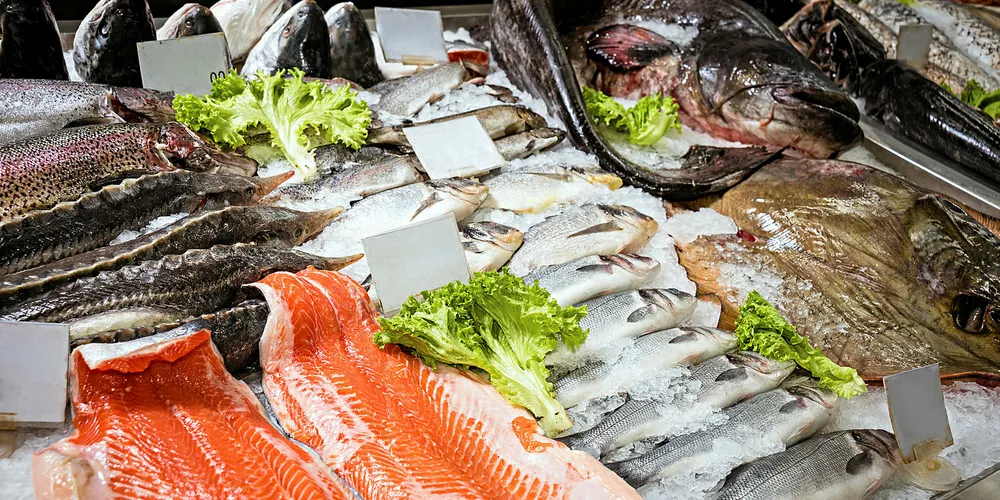 Chiles nye markedsføring for laks skal komme all sjømat til gode
