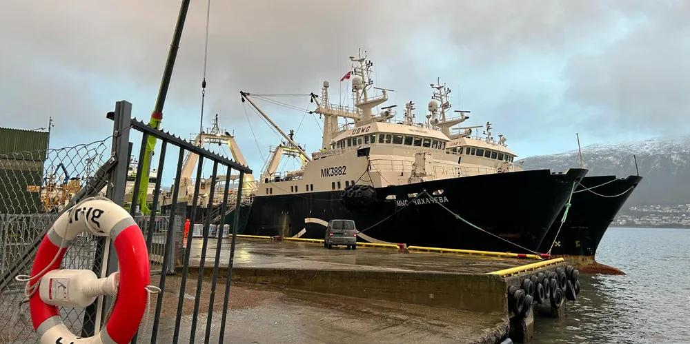 Russiske trålere fotografert ved havn i Tromsø i november 2022.