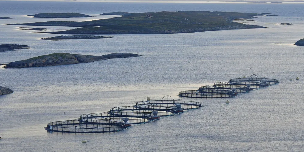 SAMARBEID: Med kommunesammenslåinger og grensekorreksjoner er det viktigere enn før å samarbeide mellom kommunene om kystsoneplanlegging.