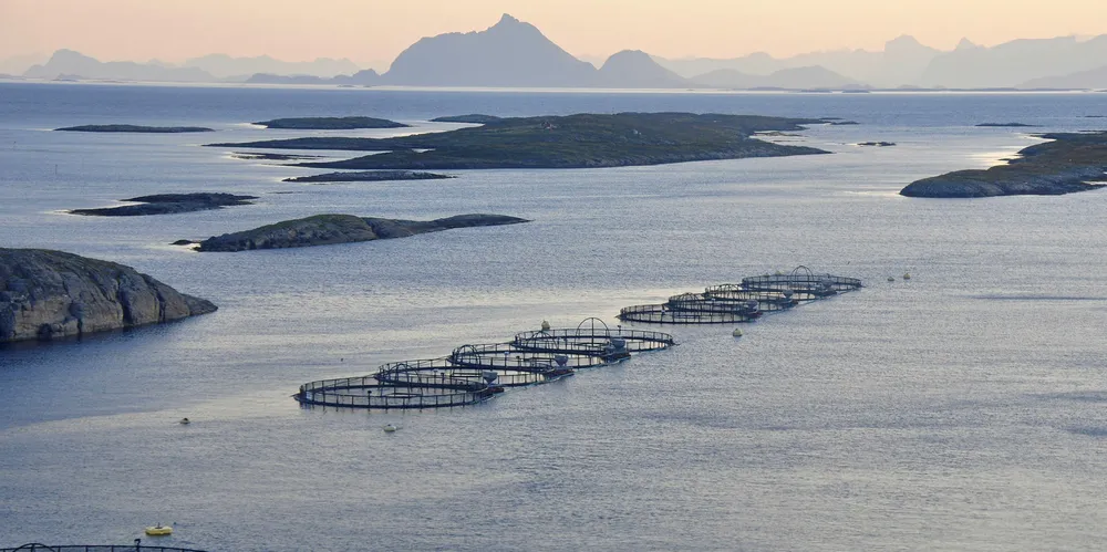 NYE VEDERLAG: Frp sikrer kommunene langs kysten mer penger enn de rødgrønne partiene.
