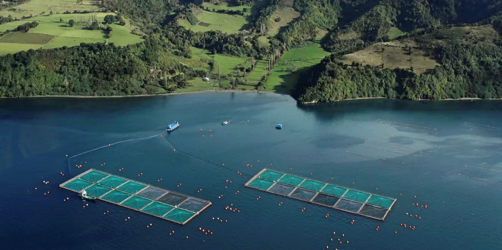 Chilean salmon farmers have worked to reduce antibiotic use, but bacterial diseases continue to plague the sector.