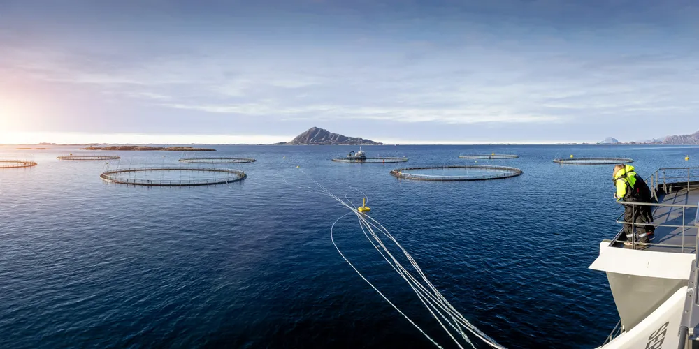 Bildet vise Norcod sin lokalitet Frosvika i Meløy kommune.