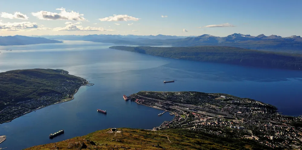 I Ofotfjorden er det nå tiltagende dødelighet i ytre deler av fjorden mens det fortsatt er noe dødelighet i midtre og indre deler på grunn av algene.