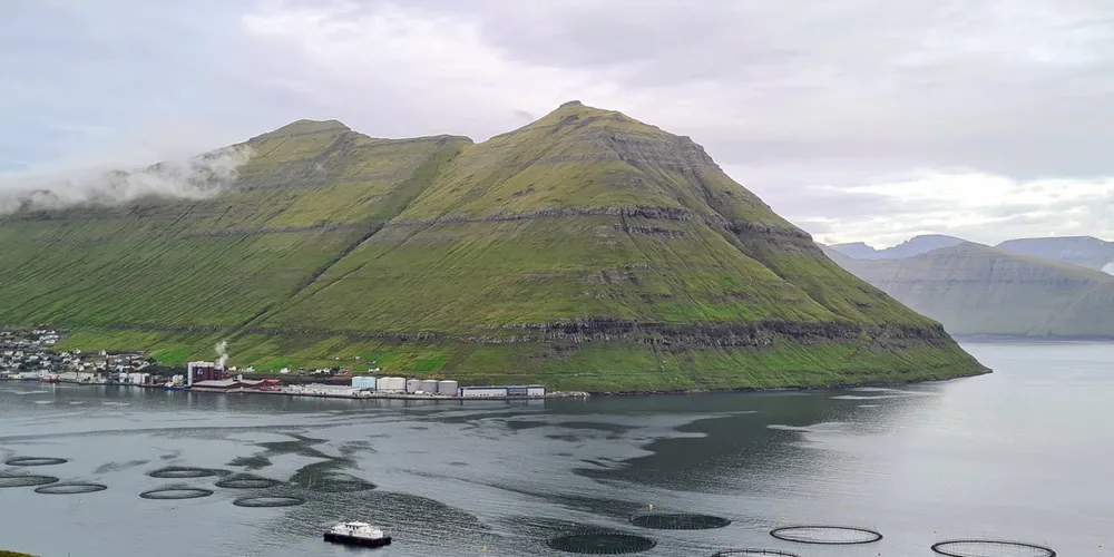 We are in shock and disbelief about what has happened, and our thoughts are with all the people suffering,” Hiddenfjord’s sales manager Oli Hansen said.