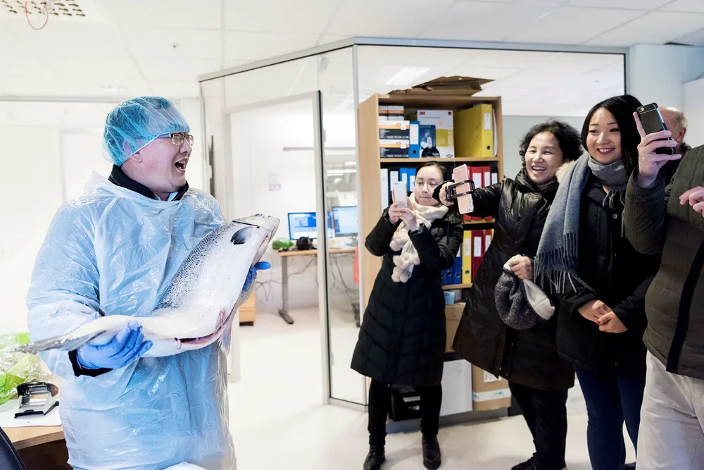 Sjef for fiskeavdelingen i CIMC Group i Kina, Guo Fuyuan (til venstre), holder opp en syvkilos laks inne på fabrikken til Bremnes Seashore. Li Hong, Wang Ming og Carol Shang tar bilder. Foto: Tommy Ellingsen
