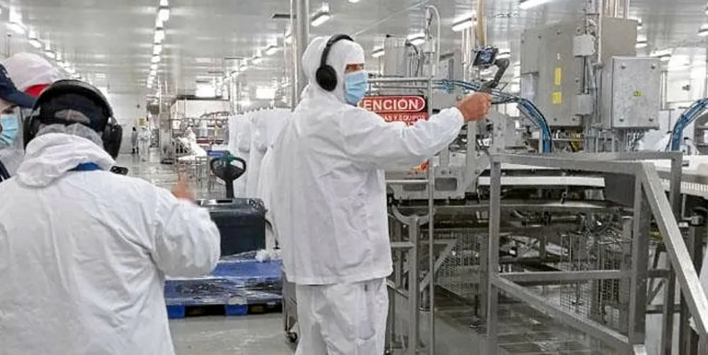 A Blumar salmon-processing plant in Chile. Blumar and Multi X are looking at other processing sites in Chile after a fire at the Entrevientos plant in Punta Arenas.