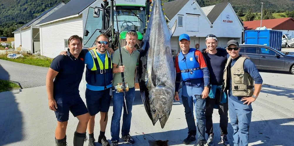 «Team Godøya» fikk makrellstørje på 250 kilo: F.v. Christoffer Trebler, Alexander Kenich, Per-Christian K. Lillebø, Martin Bogsrud, Peder Lillebø, Randulf Schumann Hansen