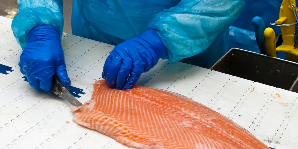 Dingwall-anlegget var tidligere eid og drevet av Wester Ross Fisheries, som Mowi kjøpte opp i juni 2022.