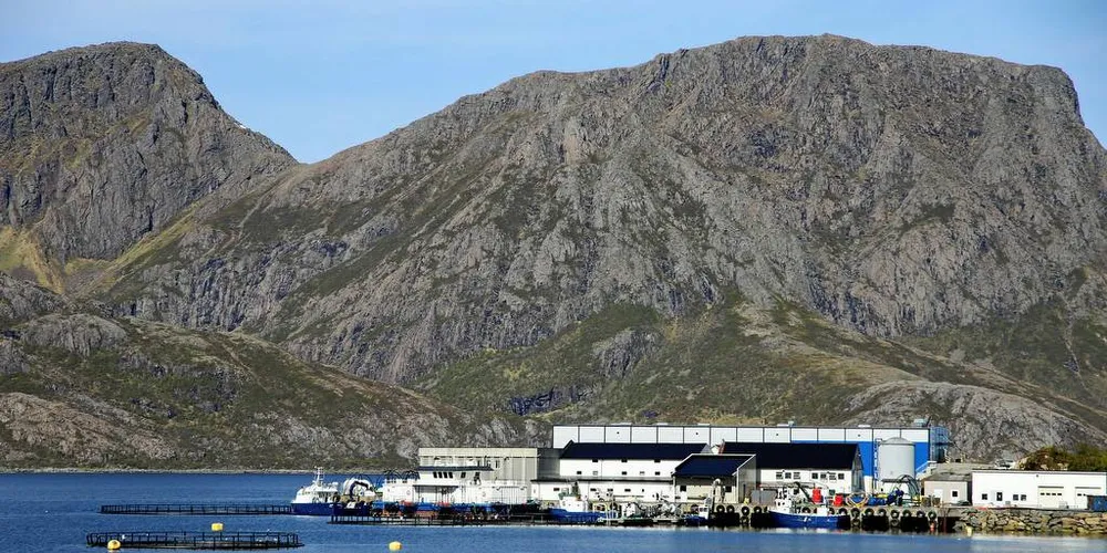 Egil Kristoffersen and Sønner er et familieeid oppdrettsselskap som holder til på Jennskaret i Bø i Vesterålen. Foto: Silje Helene Nilsen