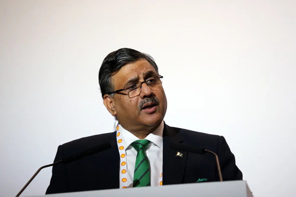 Production push: Pakistan looking at all avenues to access new resources, says Zahid Muzaffar