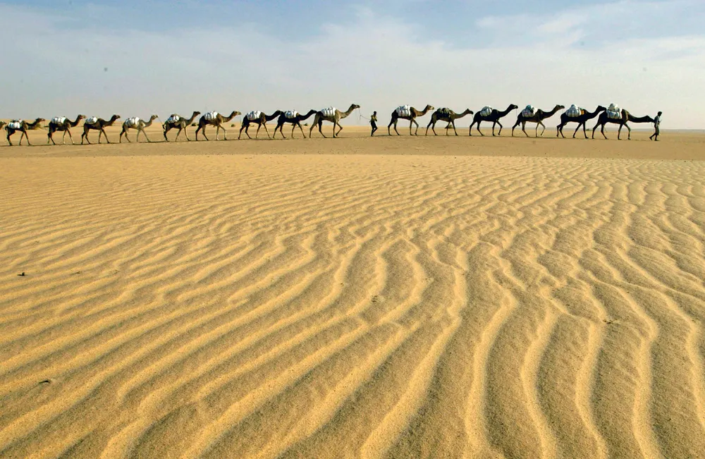 Drilling plans in Morocco: SDX Energy has spudded the third of nine planned wells