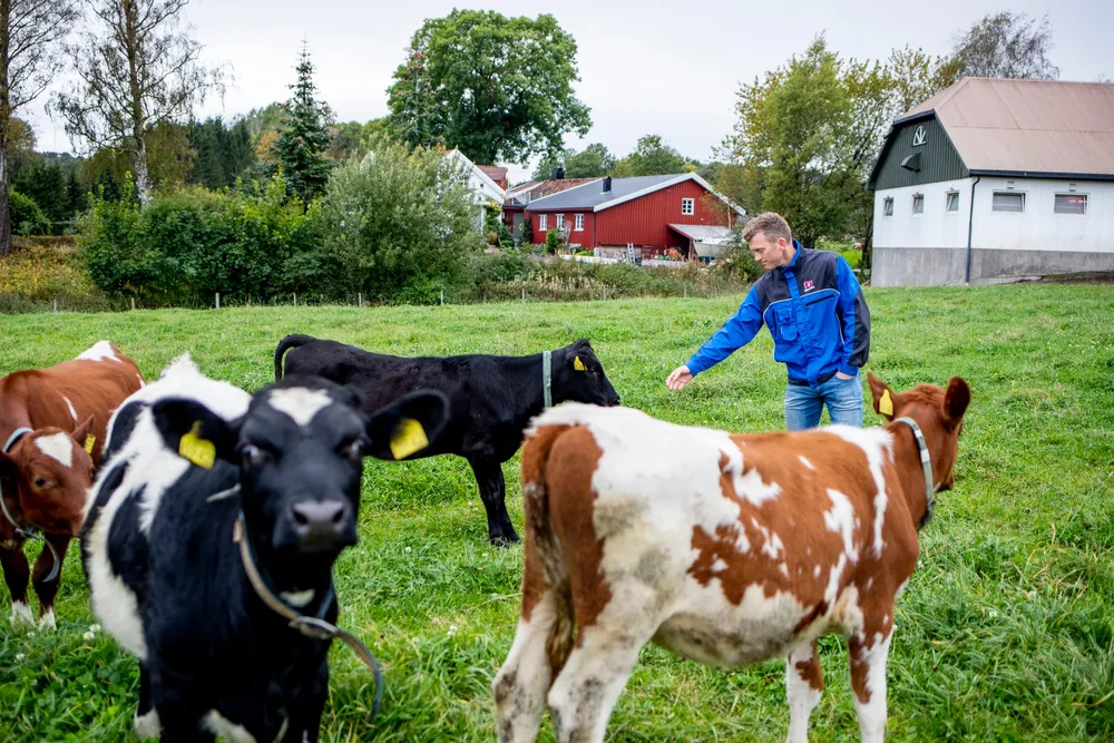 Bonde, investor og skipsreder Knut Nikolai Tønnevold Ugland (38) har doblet milliardarvingen han fikk av bestefaren Johan Jørgen.