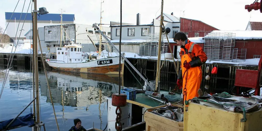 LEVERANSE: Torsk leveres til Saga Fisk AS i Svolvær, Lofoten. Foto: Terje Jensen