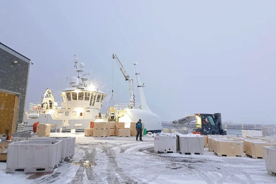 Det var her ved tidligere Vardø Fiskeriservice (nå Aalesundfisk Vardø) at kystfartøyet ble kontrollert av Fiskeridirektoratet. Båten bak i bildet er ikke relatert til saken.