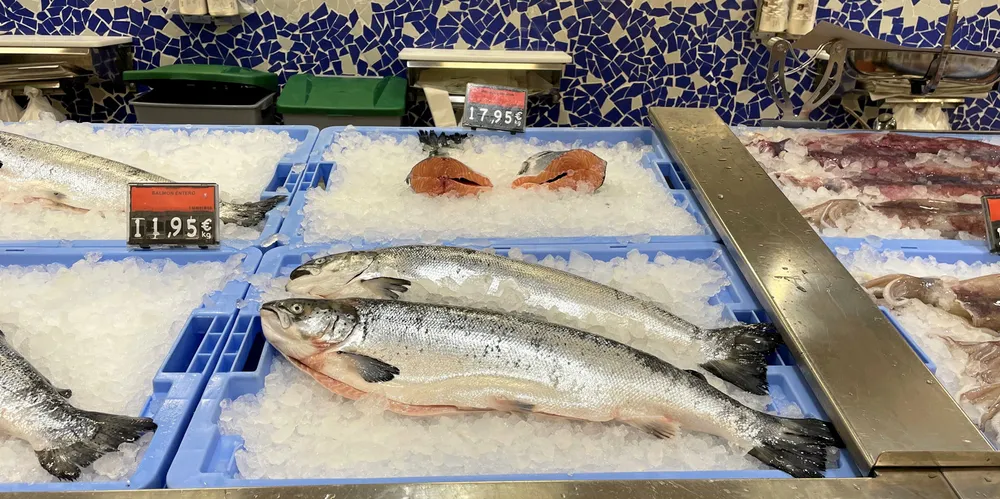 Norsk laks i fiskedisk på supermarked i byen Puerto Rico på Gran Canaria i Spania.