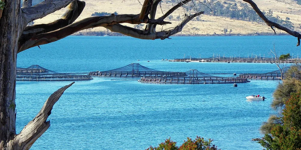 Tasmania fish farm.