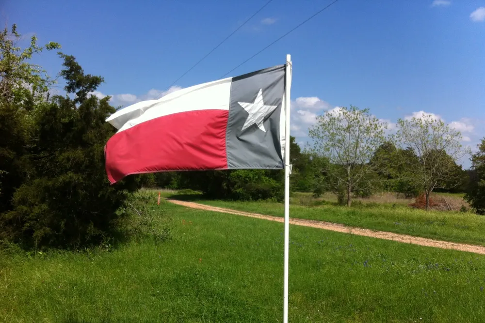 Barnett shale: Initial gas production rates from the project were encouraging, Petrel said.