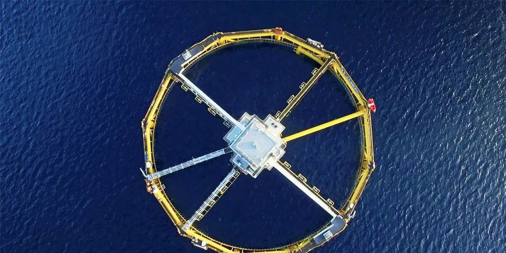 SalMars havmerd Ocean Farm sett ovenfra.Foto: SalMar