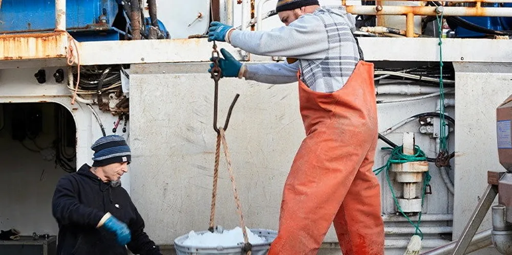 Blue Harvest has been awarded a major USDA groundfish contract.