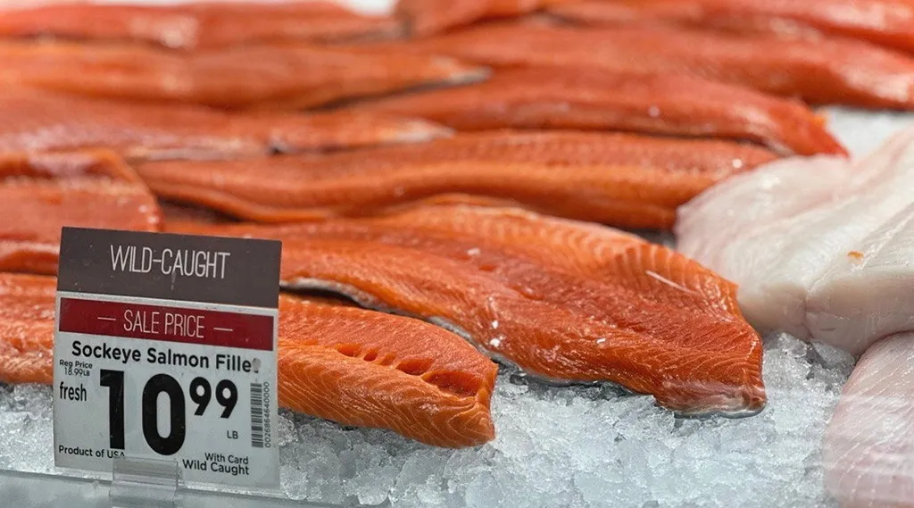 Alaska salmon season LIVE Bristol Bay sockeye sizes reach new lows Intrafish