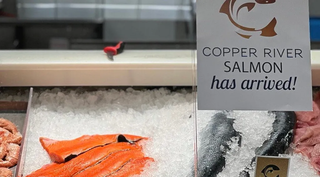 Alaska salmon season LIVE Bristol Bay catch surpasses preseason