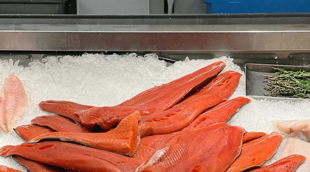Alaska salmon season LIVE Salmon harvests lagging behind predictions