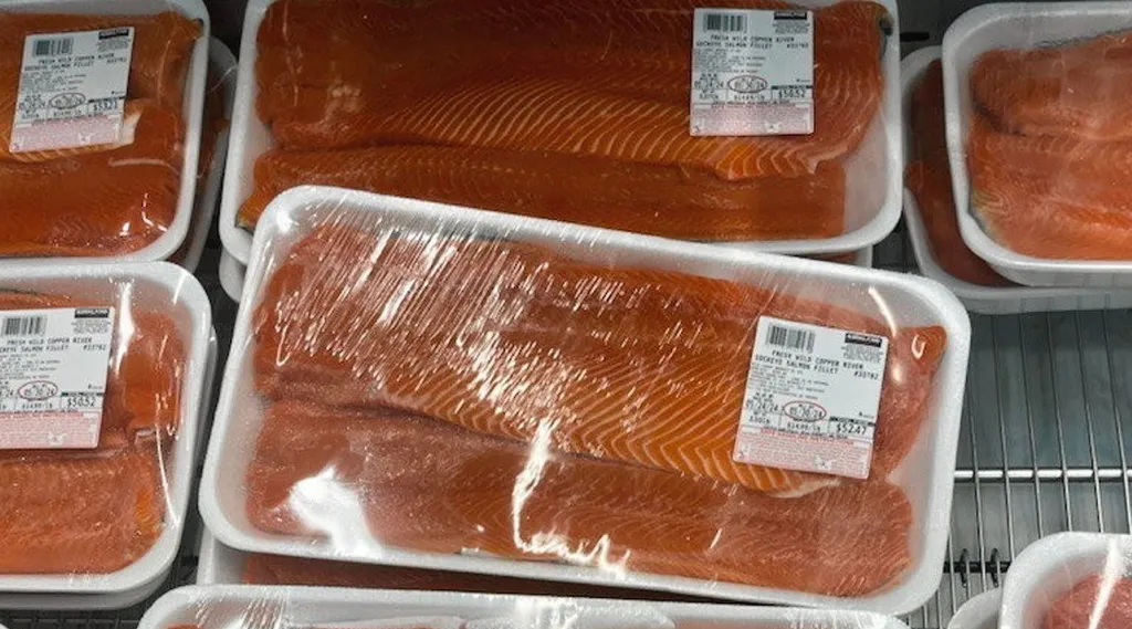 Alaska salmon season LIVE Salmon harvests lagging behind predictions