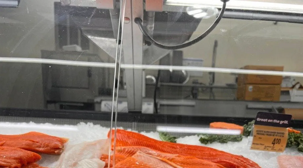 Alaska salmon season LIVE Salmon harvest ends up at 70 of preseason