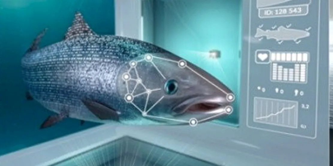 Editor's Picks: The '80s are back, investors pile in, eating fish with ...