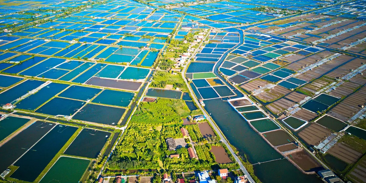 Global feed giant exits Vietnam aquaculture sector